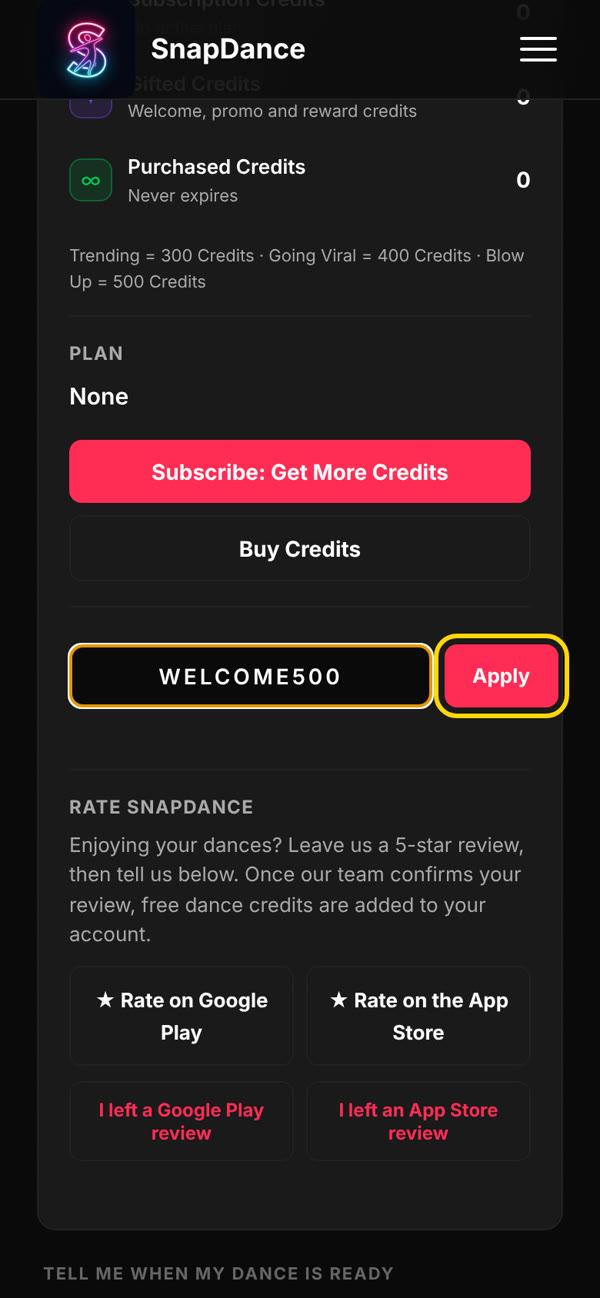 Promo code typed into the box with the Apply button highlighted